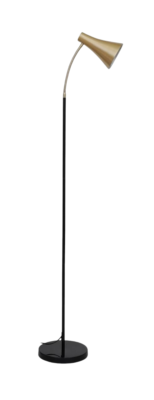 Sleek Black and Gold Task Floor Lamp
