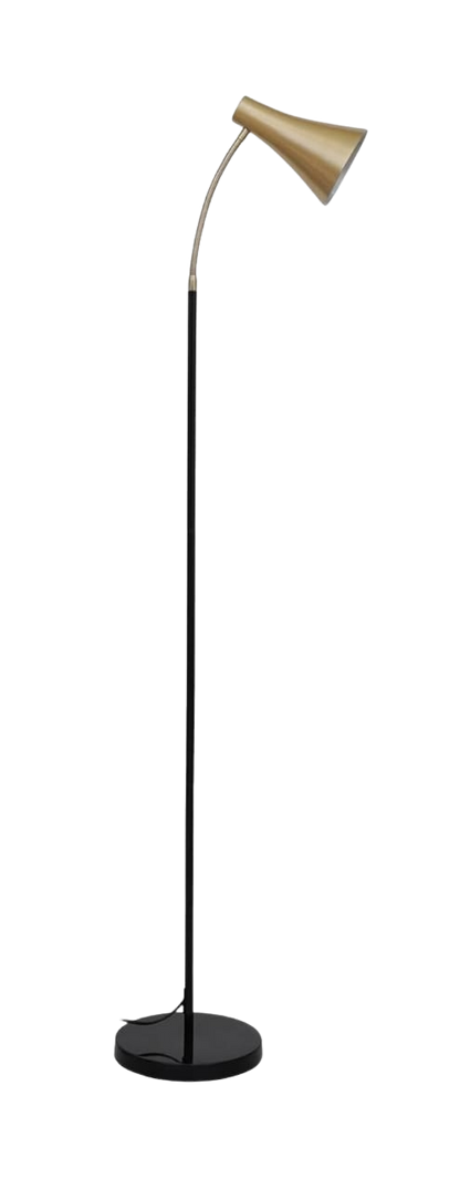Sleek Black and Gold Task Floor Lamp